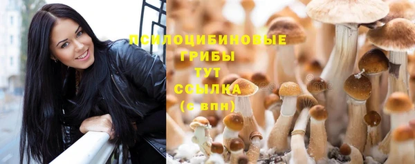 каннабис Алексеевка
