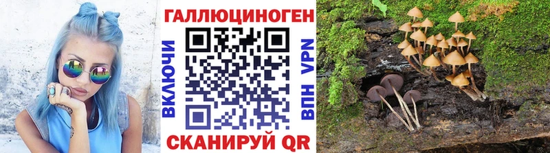 мега рабочий сайт  Когалым  Псилоцибиновые грибы Magic Shrooms 